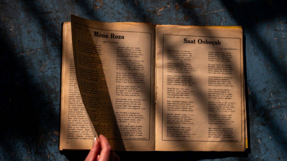 'Mona Roza'nın ilginç hikayesi