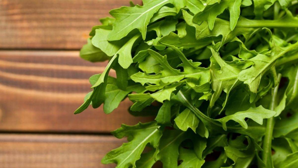 Roka neye iyi gelir? İşte rokanın az bilinen faydaları