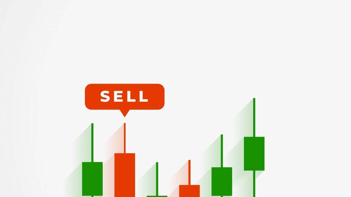 Artemis Halı halka arz | Artemis Halı kaç lot verir, ne zaman borsada işlem görecek?