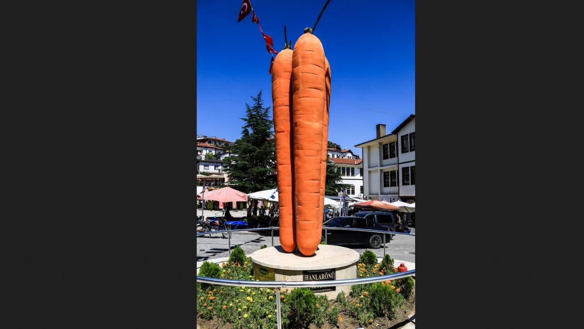 Türkiye, İsrail tohumuyla üretilen havucu tüketiyor