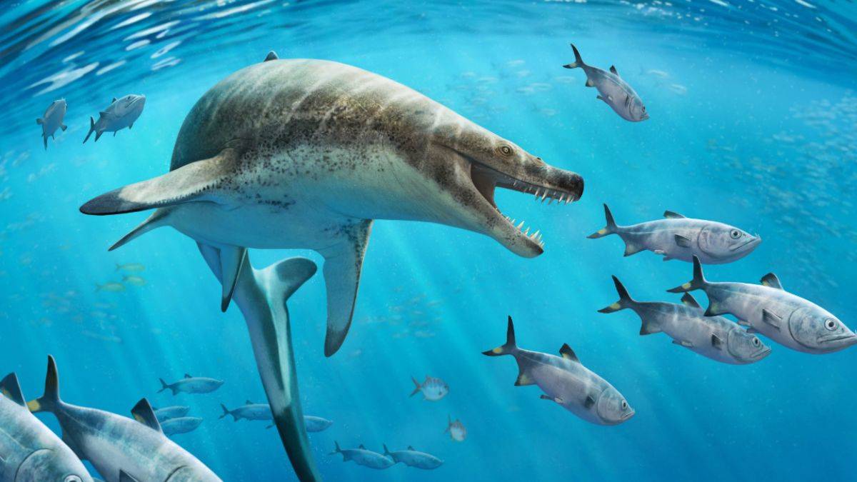 Dev kertenkele 'keskin hançer'in iskeleti bulundu