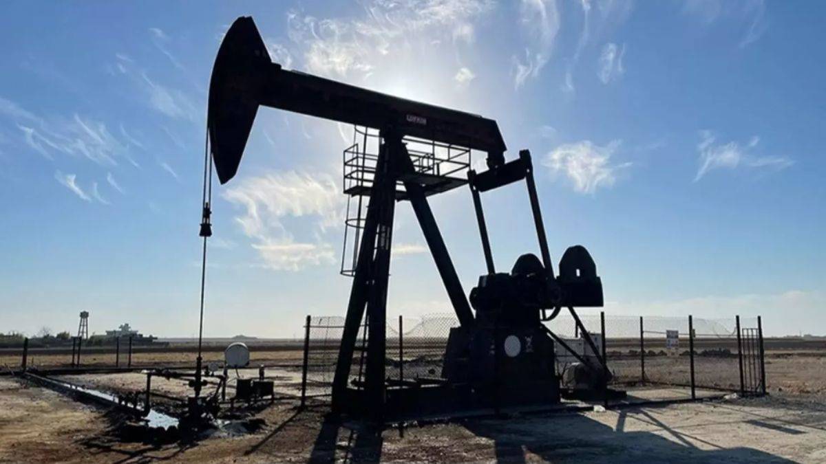 TPAO'dan 4 ilde petrol hamlesi!