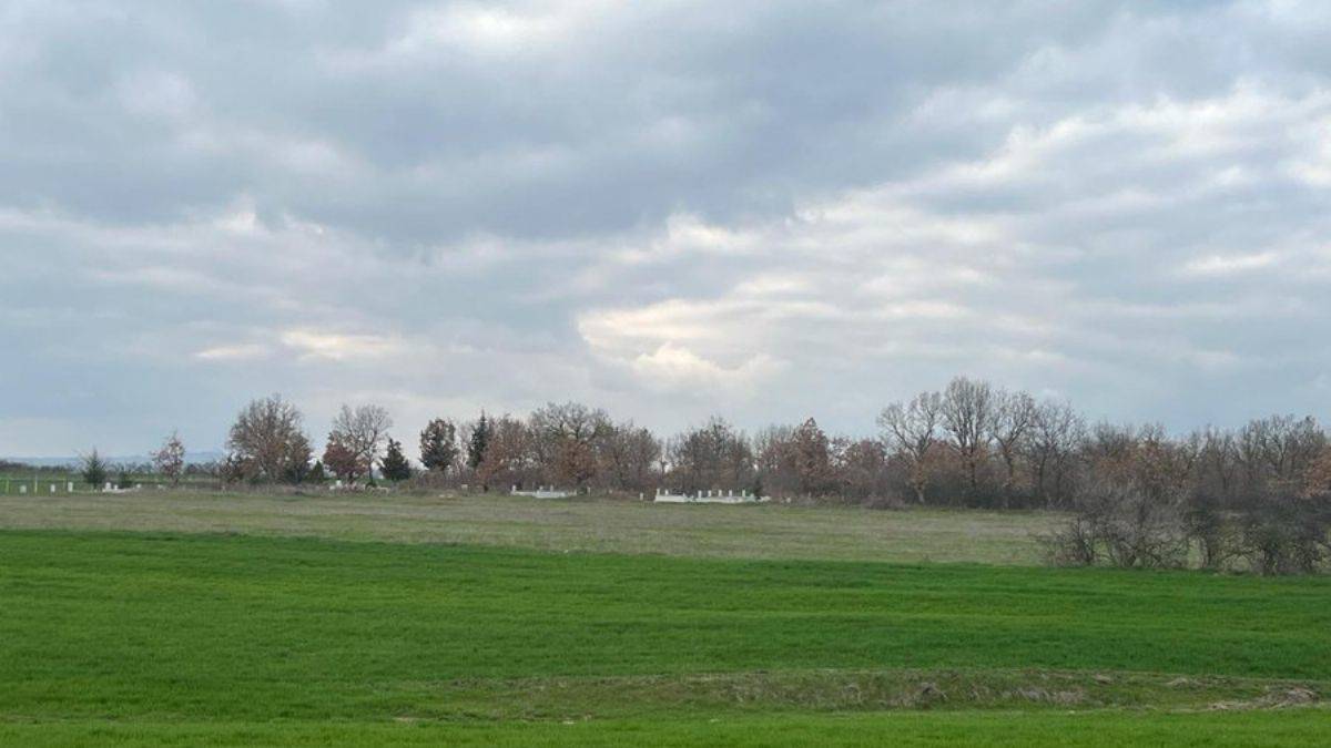 Emekli polis, oğlunu ve eşini öldürüp tarlaya gömdü
