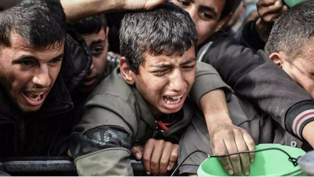 Gazze'nin açlıkla imtihanı! Açlıktan canlarını tehlikeye atarak ot topluyorlar