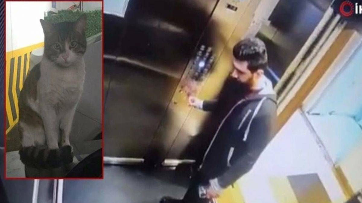 Kedi Eros olayı nedir? İbrahim Keloğlan kimdir ne yaptı?