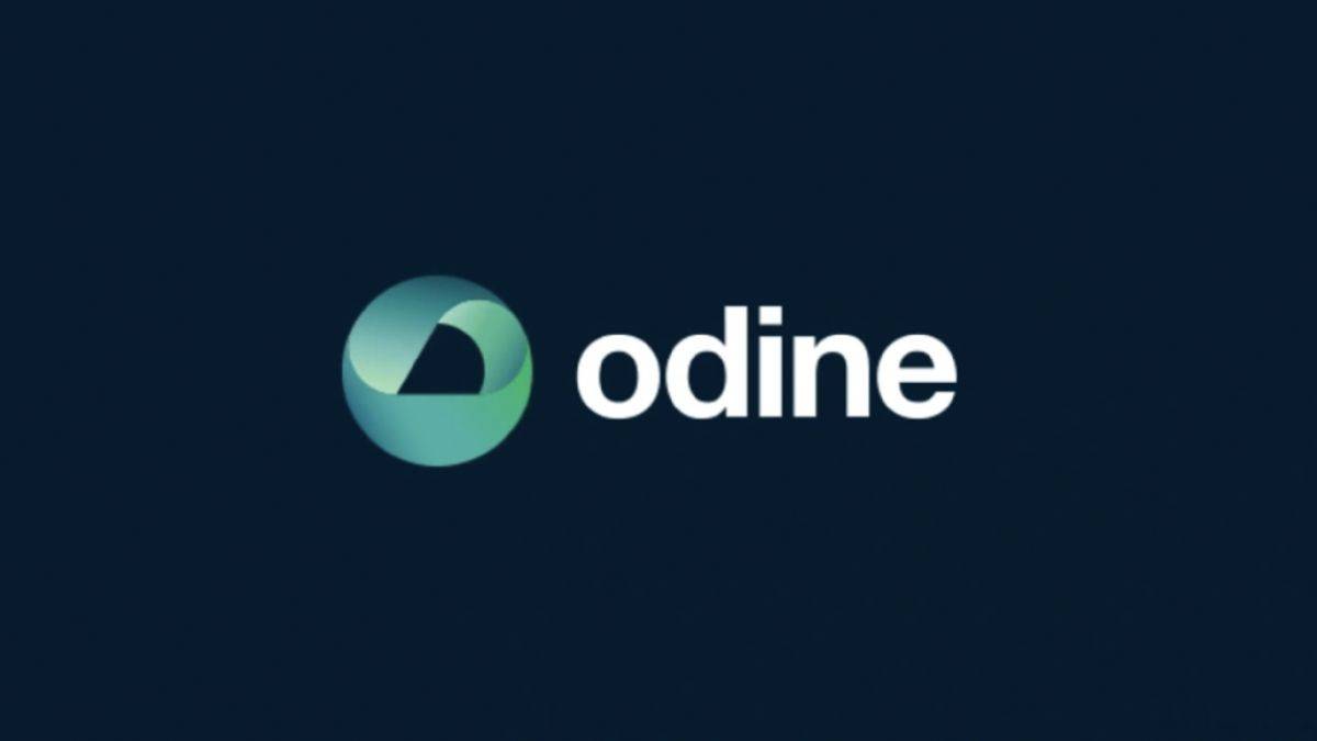 Odine halka arz kaç lot verir? Odine Solutions Teknoloji hisse fiyatı, hisse kodu, süresi...