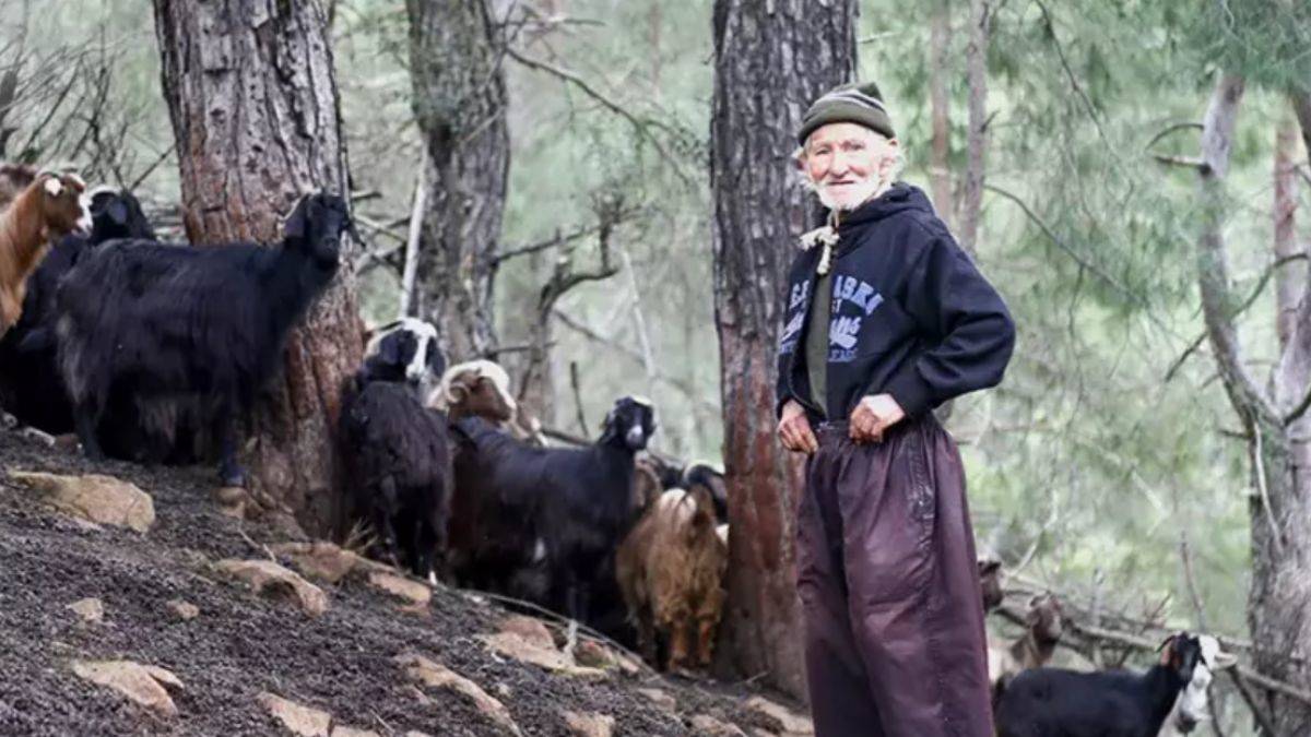 Keçileri çalınınca insanlara küstü, 17 yıldır dağda yaşıyor