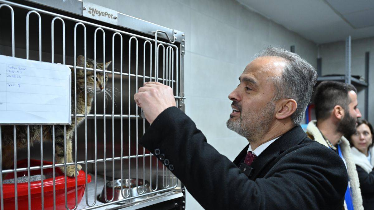 Can dostlara modern yeni yuva