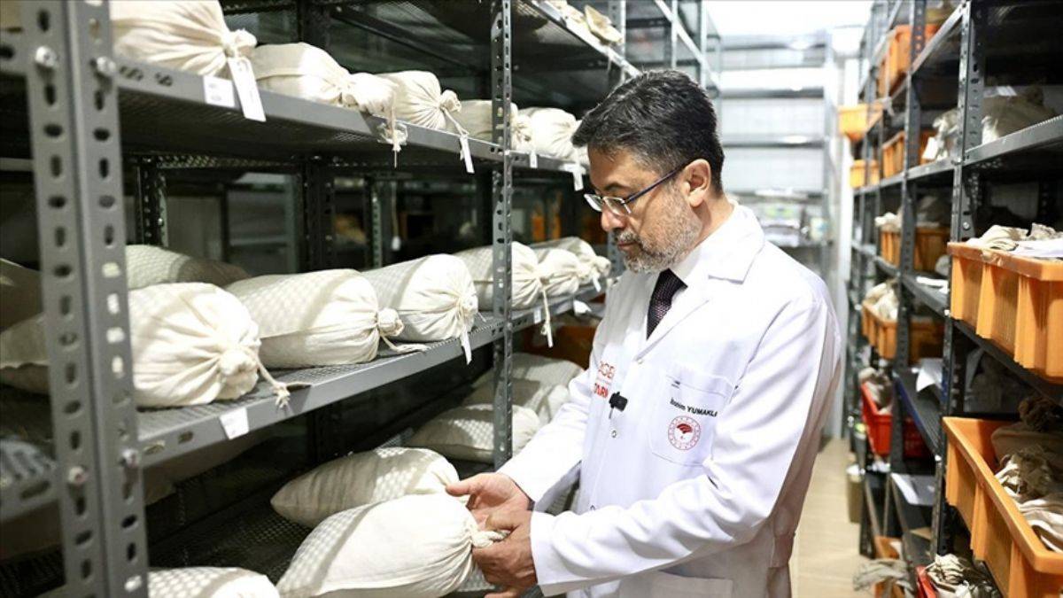 Türkiye Tohum Gen Bankası