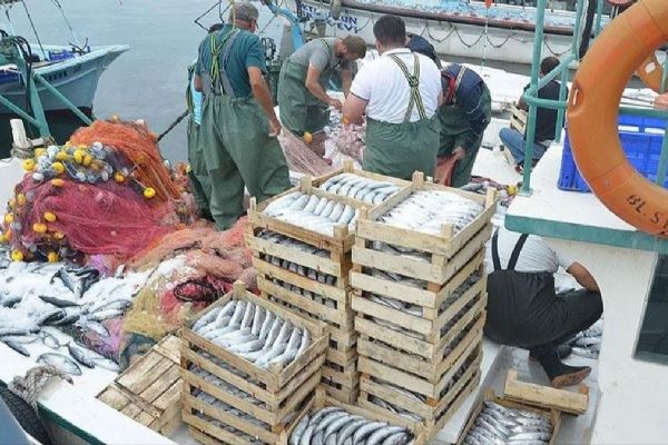 Ege Denizi'nde av yasağı başlıyor!