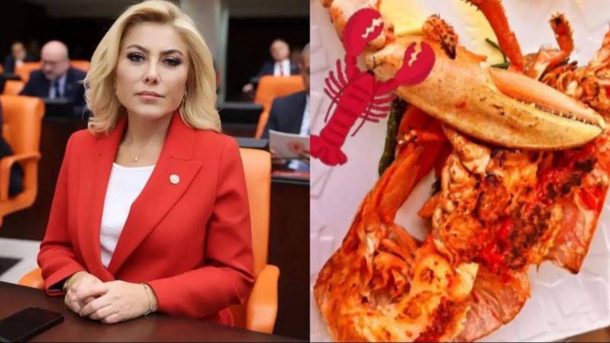 AK Partili Şebnem Bursalı'dan 'ıstakoz' özrü