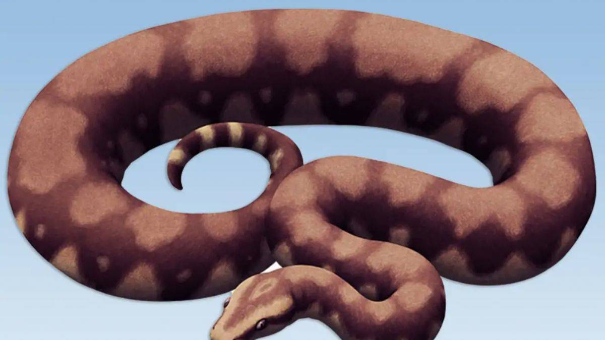 Şimdiye kadar yaşamış en büyük yılan fosili bulundu
