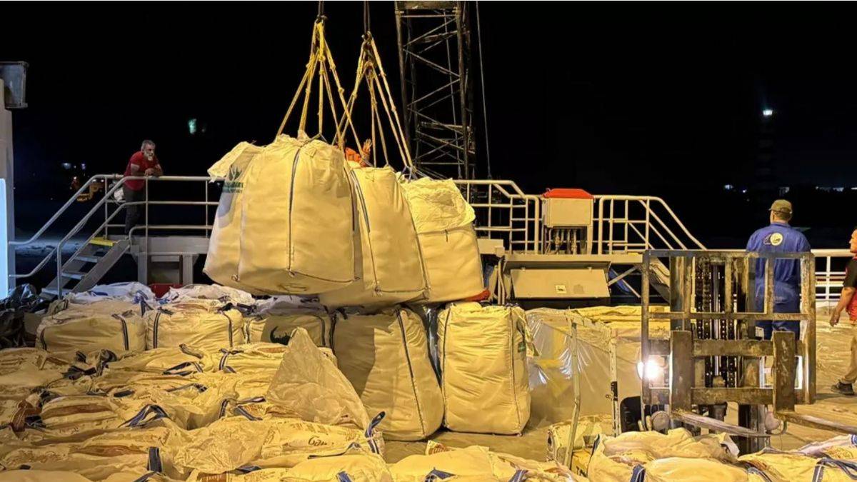 Türkiye'nin yardımları Mısır'da: 3 bin 774 ton malzemenin tahliyesi başladı