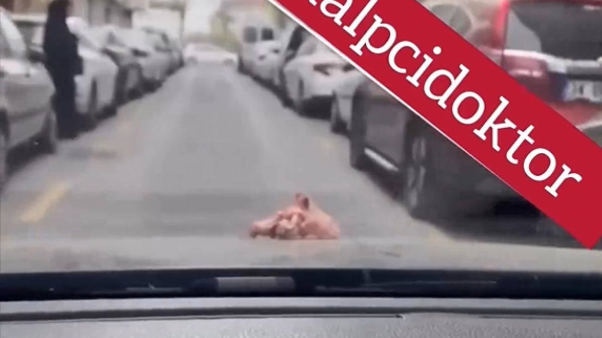 Tavuk parçası ile gezen adam uyardı