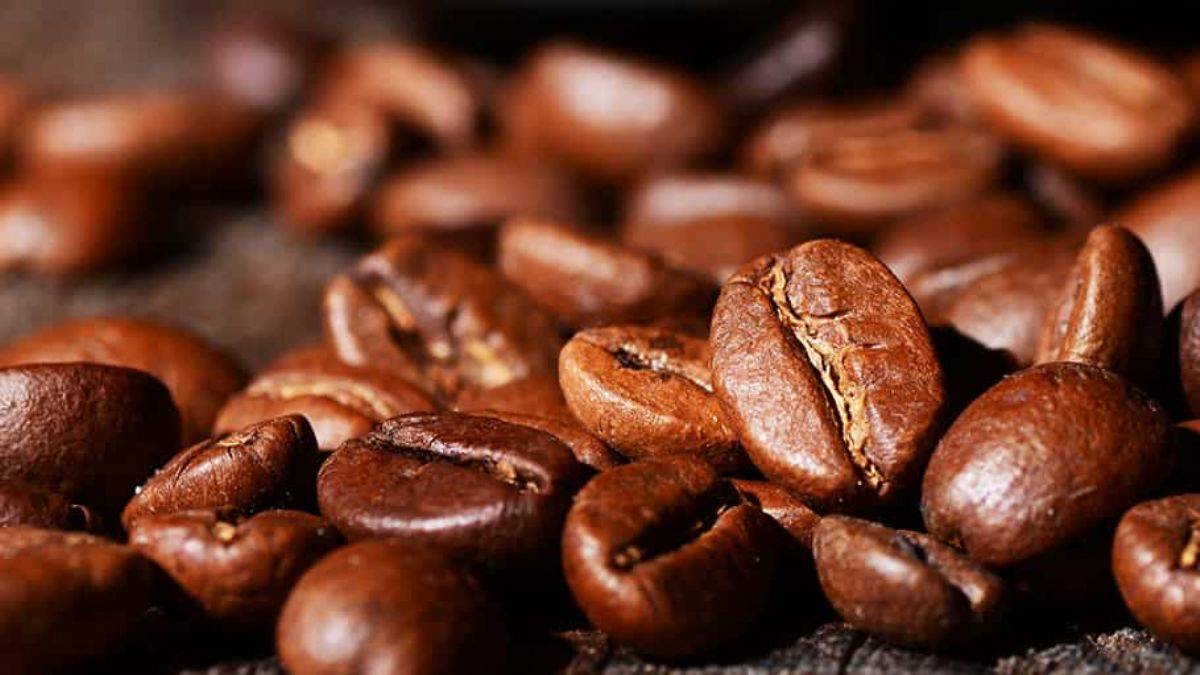 600 bin yıllık kahve izi!