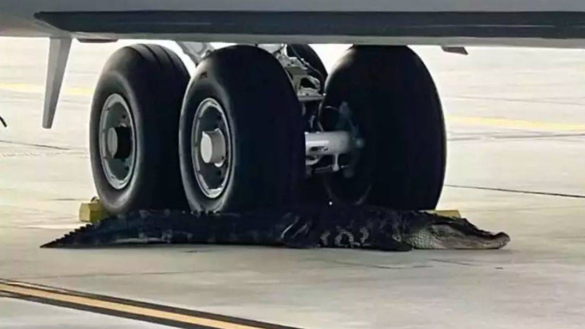 Amerikan üssünde 'en yeni dişli havacı'