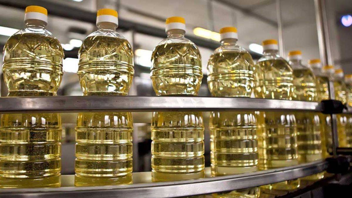 Zeytinyağı Üretiminde Kullanılan Ekipmanlar Nelerdir?