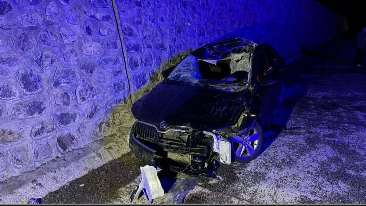 Bingöl'de otomobil ata çarptı: 1 kişi hayatını kaybetti
