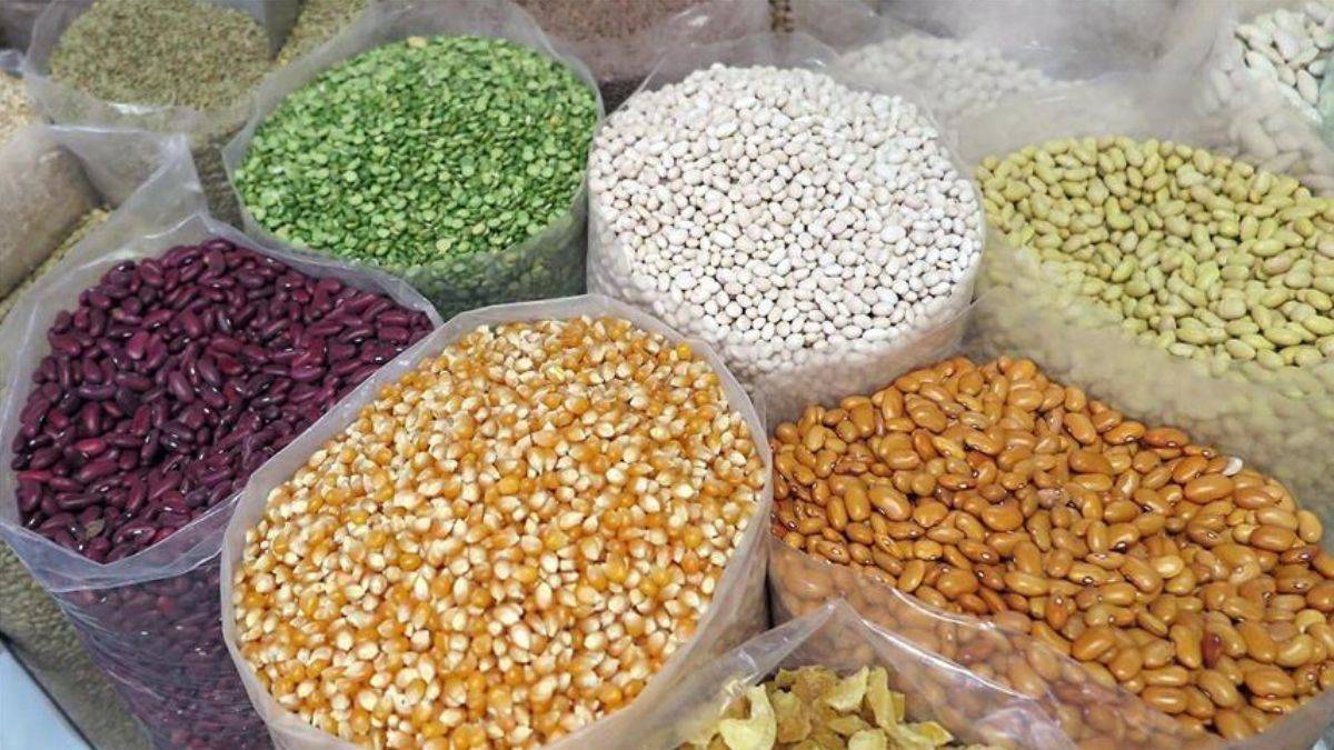 Türkiye tohumda İsrail'e bağımlı mı?