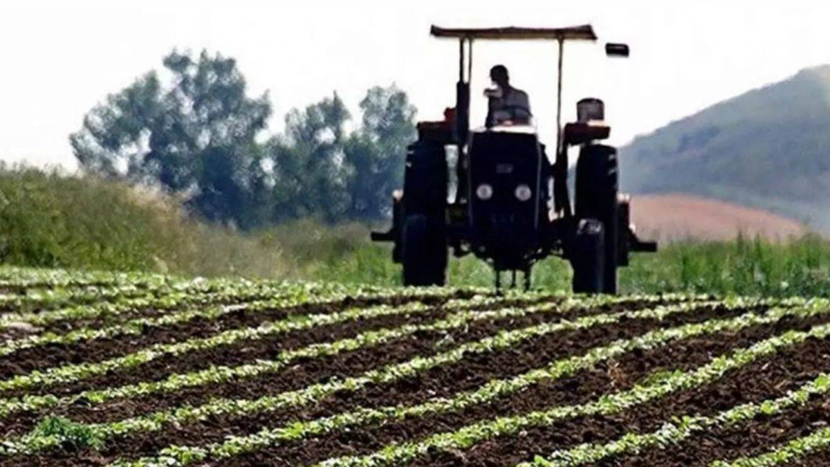 Resmi Gazete'de yayımlandı! TARSİM için prim oranları belli oldu