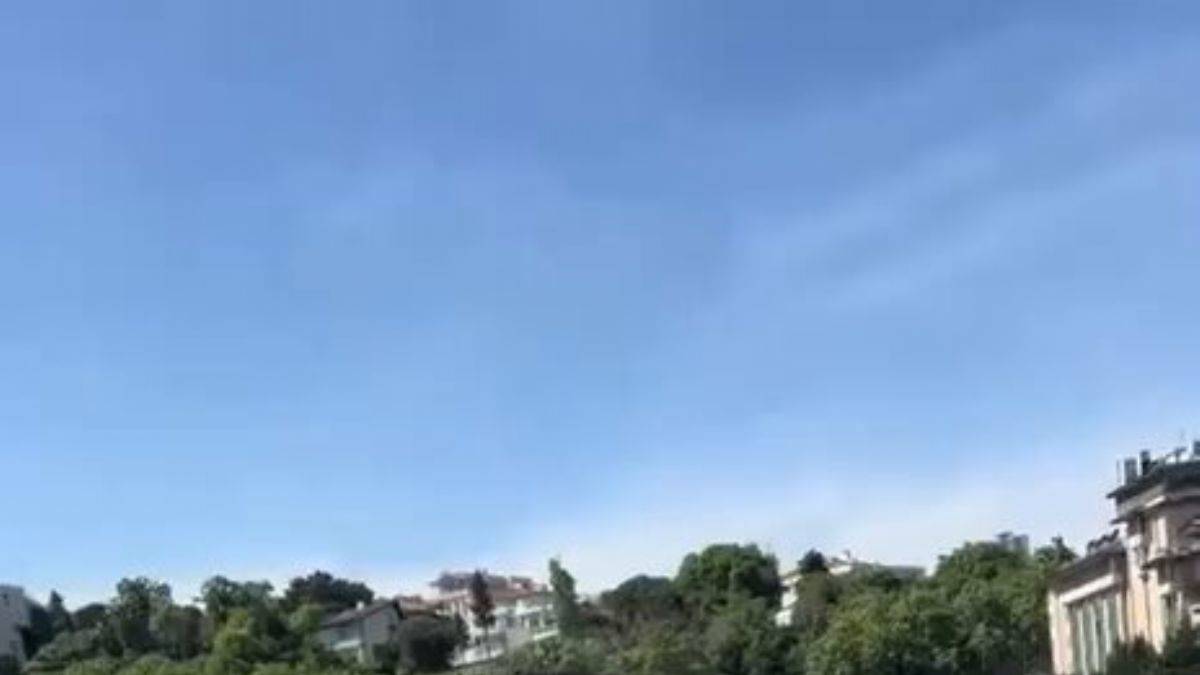 İstanbul Boğazı’nda denize düşen papağanı tekneden atlayıp kurtardı