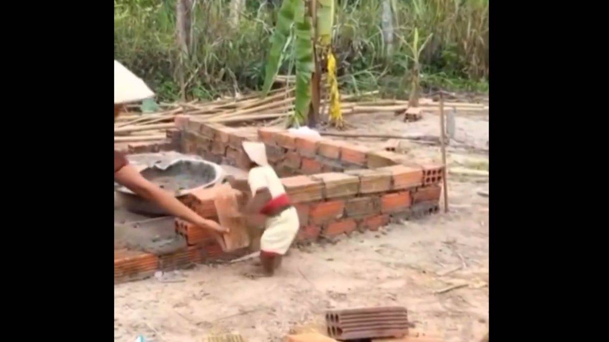 Maymunlar inşaat sektöründe