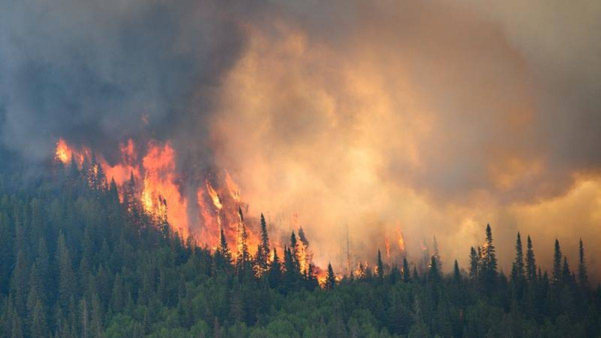 Kanada’da orman yangını: 3 binden fazla kişi tehlikede