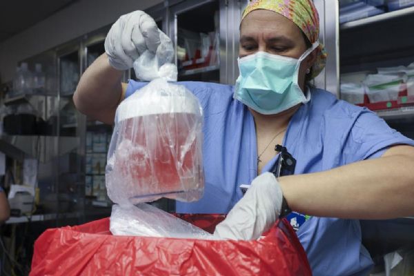 İlk kez domuz böbreği nakli yapılan hasta hayatını kaybetti