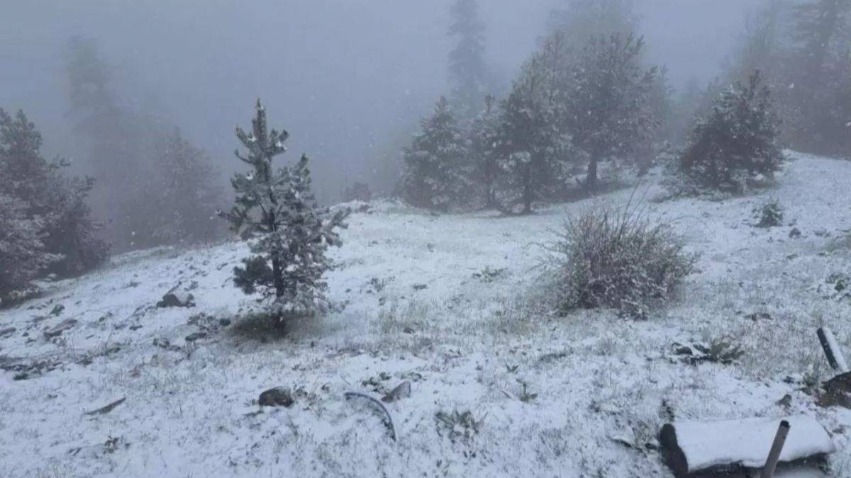 Bahar ayında kar etkili oldu: 7 ilin yüksek kesimleri beyaza büründü