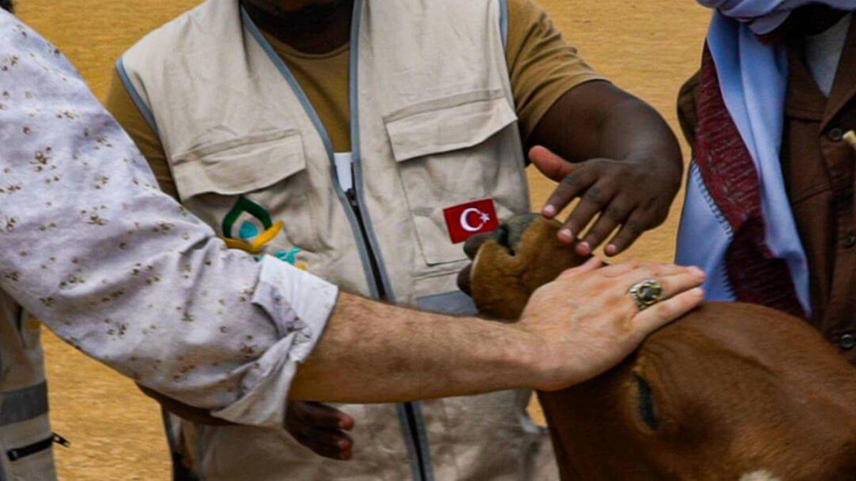 HAYDER, Kurban Bayramı’nda 15 ülkede ihtiyaç sahiplerine yardım eli uzatıyor
