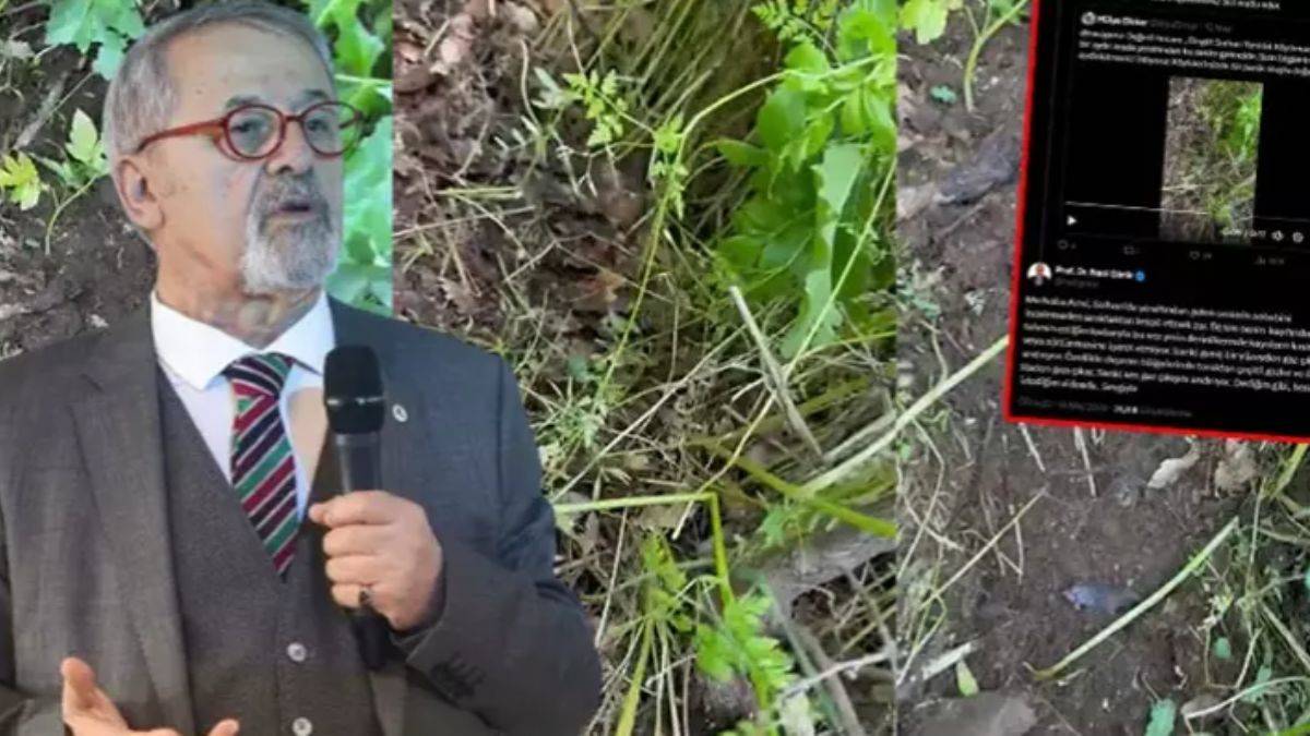 Naci Görür'den 'yer altından gelen sesler' sorusuna cevap