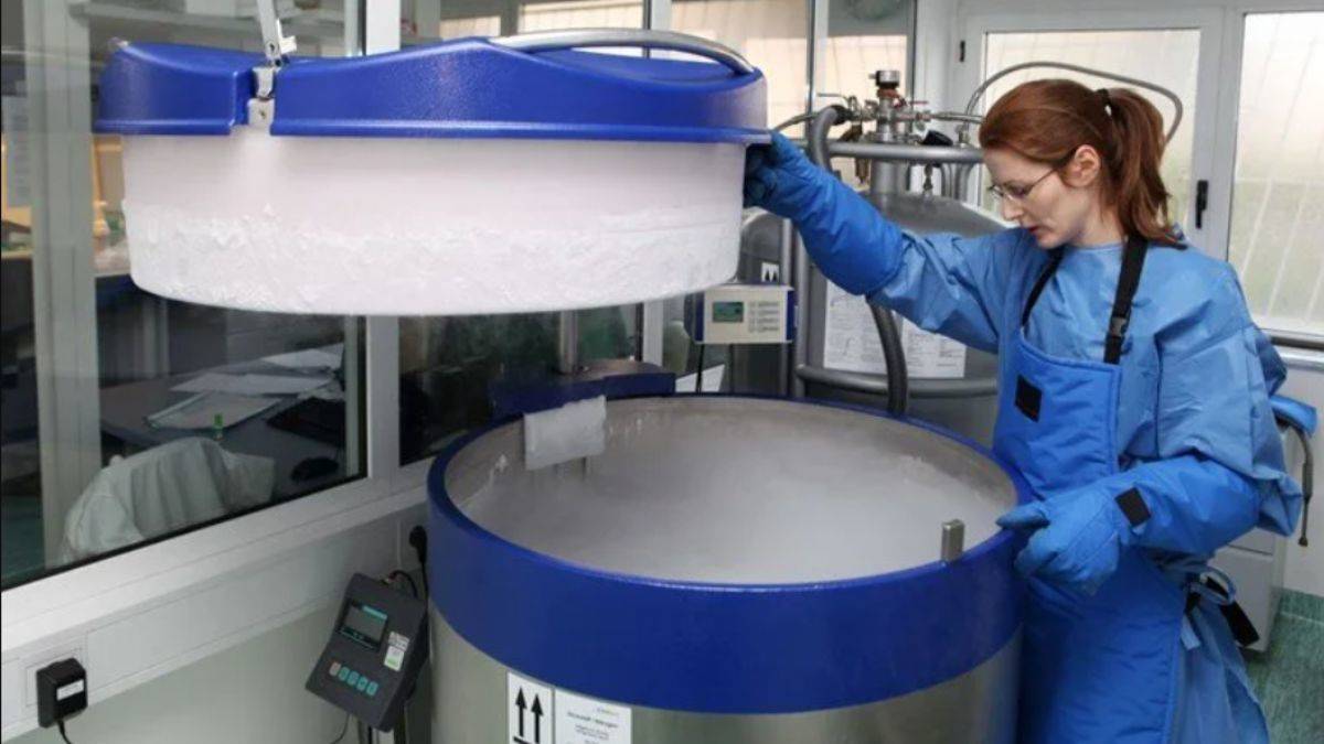 'İnsanlar dondurulduktan sonra yeniden hayata döndürülebilir'