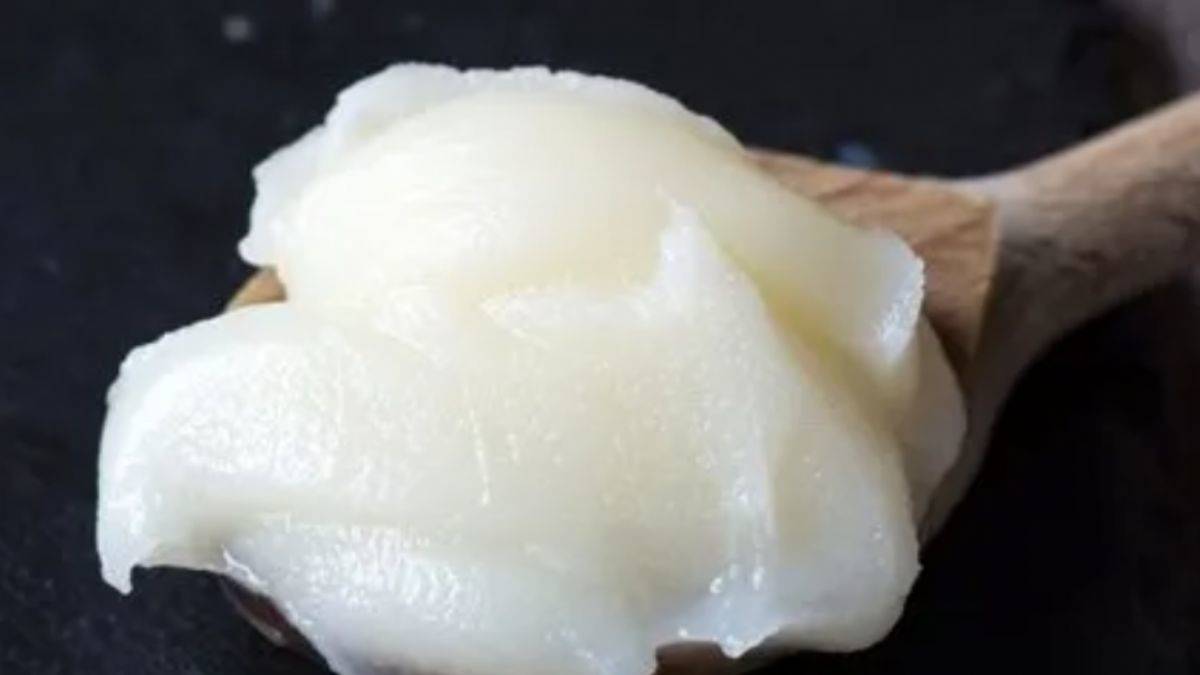 Kuyruk yağının ağrıyan dizlere faydası