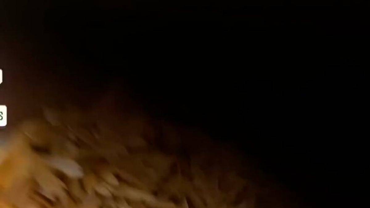 Kaykayla geçerken etrafa rastgele çiçek tohumu döken bir adamın hikayesi