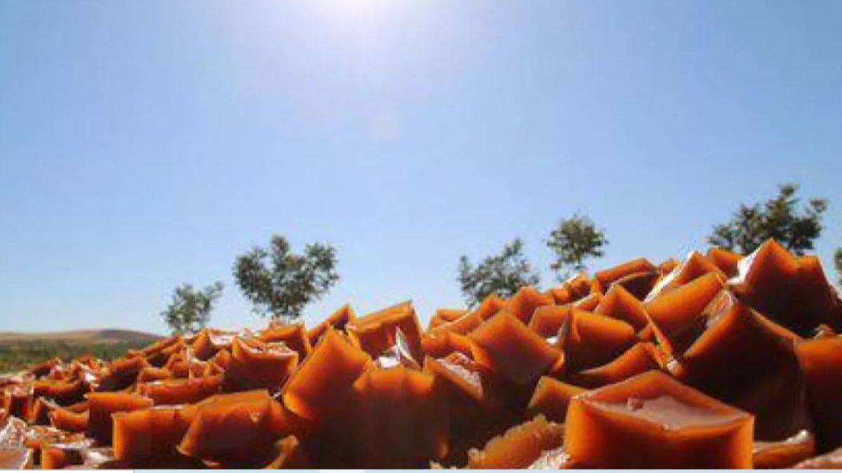 Şanlıurfa'nın 'Hasenik pestili'ne coğrafi işaret tescil belgesi verildi