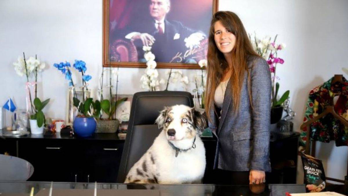 Çeşme Belediye Başkanı makam koltuğuna köpek oturttu