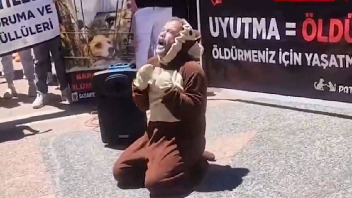 'Başıboş köpek' şovuna tepki: Tımarhaneye kapatın