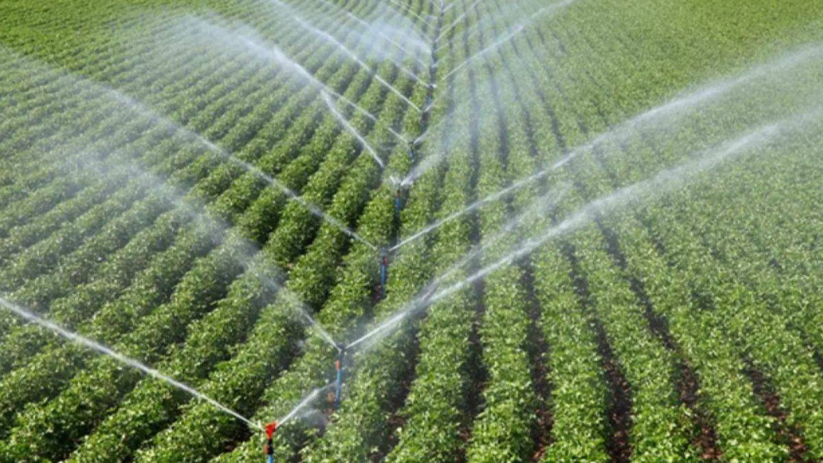 Hedef 7,23 milyon hektar! Bakan Yumaklı açıkladı