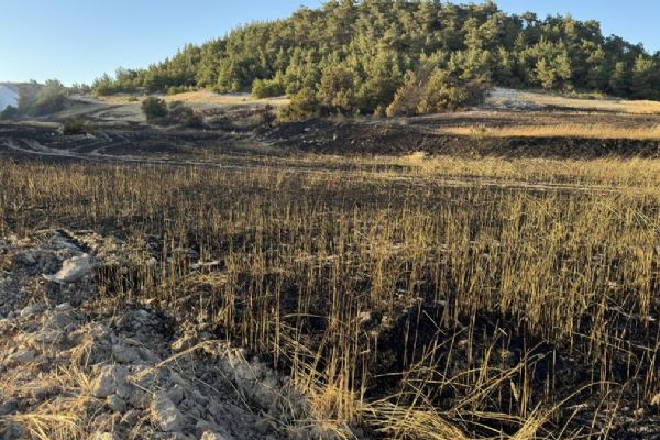 Balıkesir'de anızda çıkan yangın kontrol altına alındı