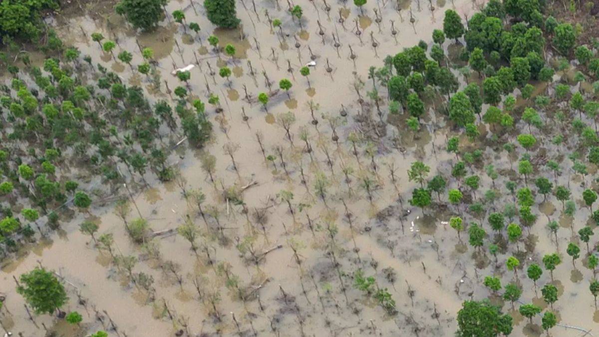 Çin'in güneyinde sel ve toprak kayması sonucu ölü sayısı 47'ye çıktı