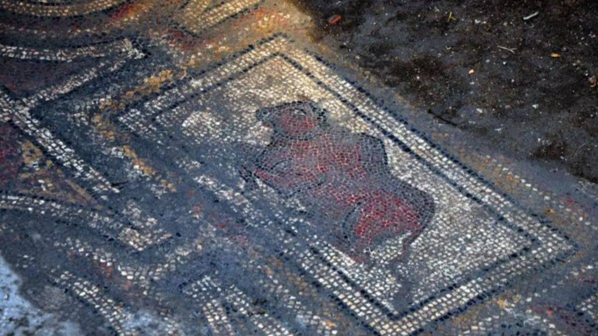 Osmaniye'de kazı yaparken ortaya çıktı