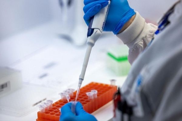 Vakalar arttı! DSÖ'den M çiçeği uyarısı