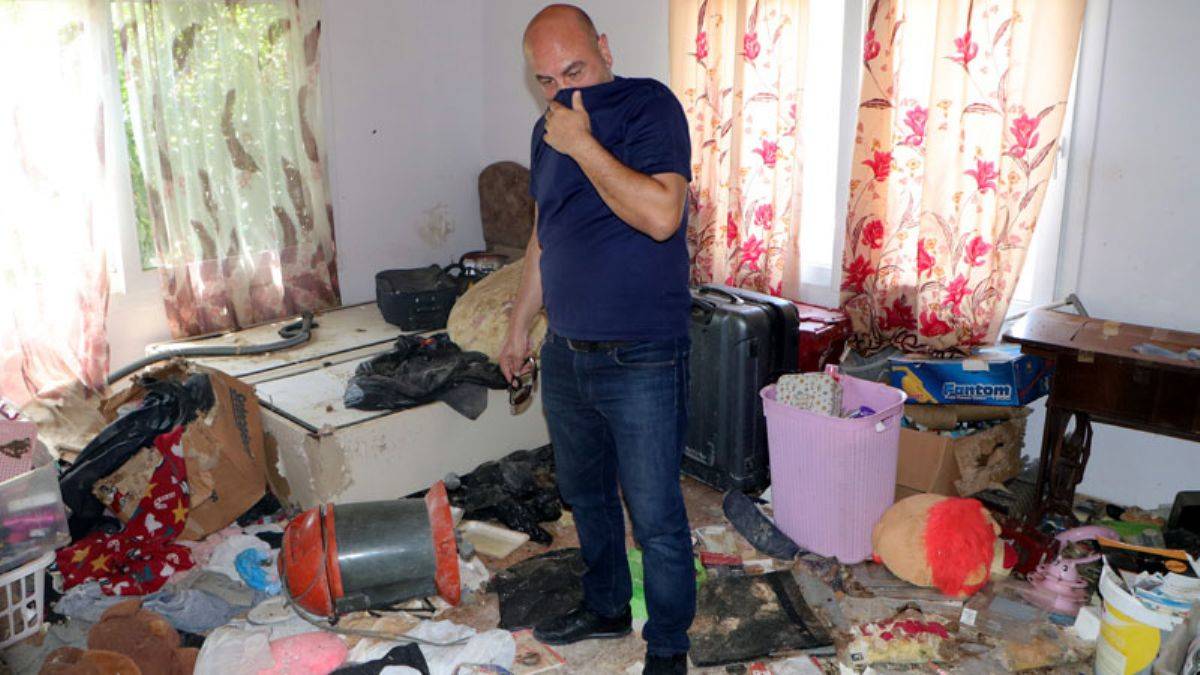 Kiracının çıktığı evde onlarca kedi ölüsü bulundu