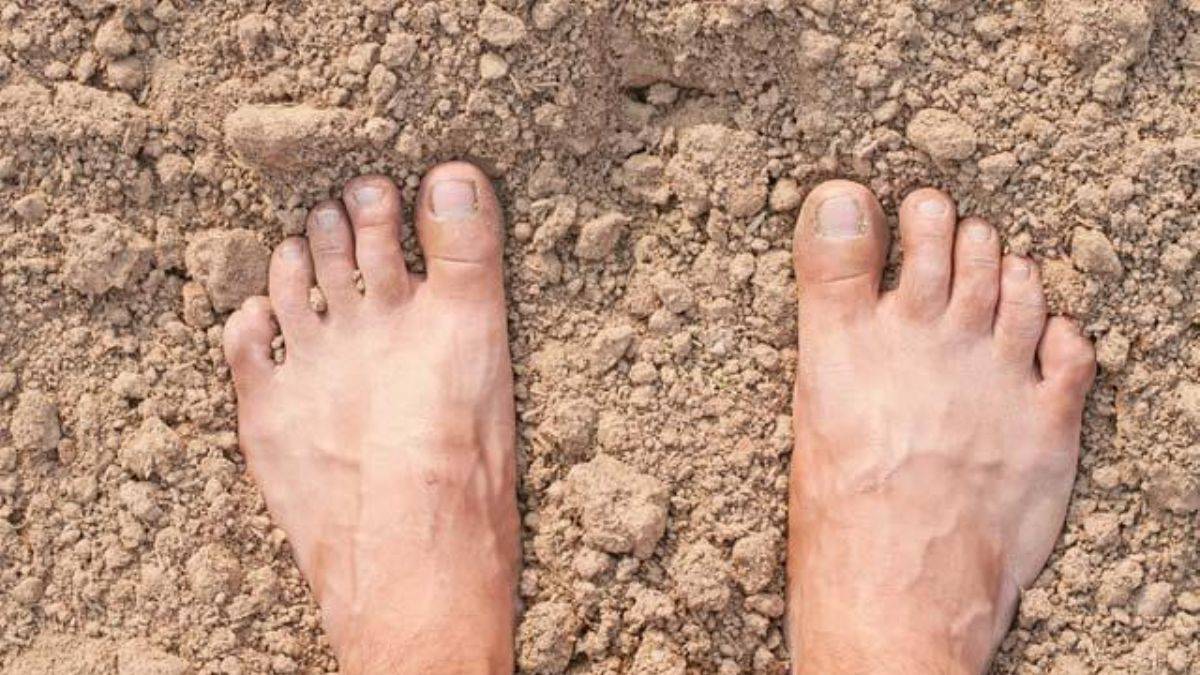 Sadece 10 dakika toprağa basarsanız neler oluyor