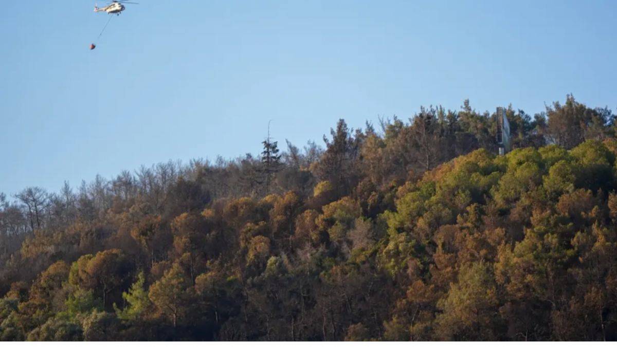 İzmir'de yangınla mücadele sürüyor! Bakan Yumaklı uyardı