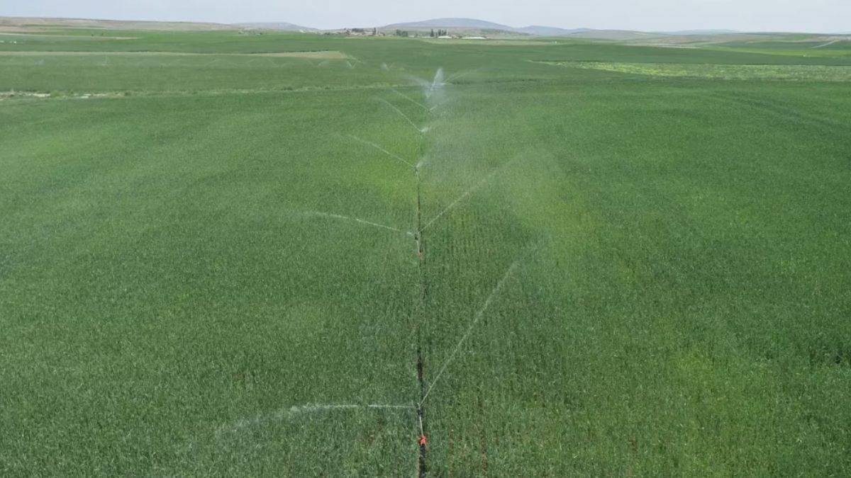 Sulama tesislerinde ücret tarifesi belli oldu