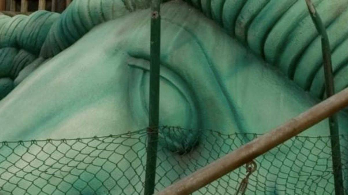 “İnsanın varoluşsal doğası, tamamen özgür olmasının önünde bir engeldir.”