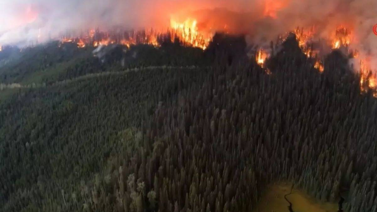 Kanada'da 95 bin hektarlık alan yanıyor