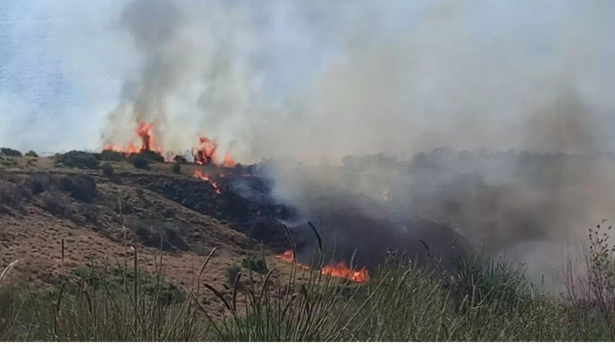 Tekirdağ'da makilik alanda yangın