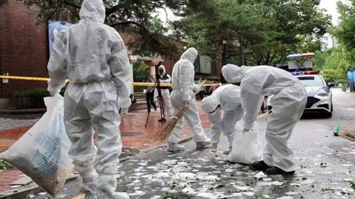 Kuzey Kore'den gönderilen çöp balonu Güney Kore'de başkanlık ofisi yerleşkesine düştü